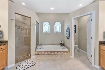 23302 Gracewood Circle, Land O Lakes, FL 34639 - Photo 25