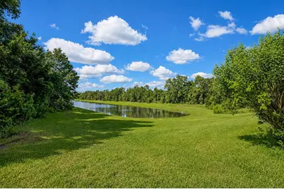 30801 Parrot Reef Court, Wesley Chapel, FL 33545 - Photo 3