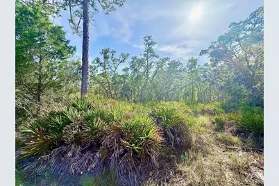 Rydal Road, Weeki Wachee, FL 34614 - Photo 5