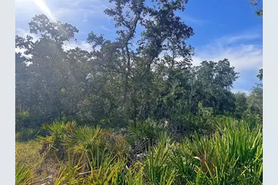 Rydal Road, Weeki Wachee, FL 34614 - Photo 7