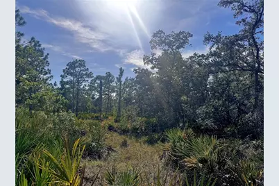 Rydal Road, Weeki Wachee, FL 34614 - Photo 3