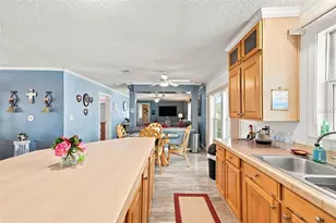 8329 Fantasia Park Way, Riverview, FL 33578 - Photo 19