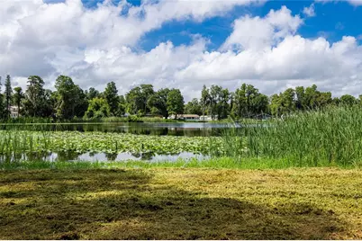 21414 Lake Sharon Drive, Land O Lakes, FL 34638 - Photo 5