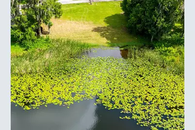 21414 Lake Sharon Drive, Land O Lakes, FL 34638 - Photo 13