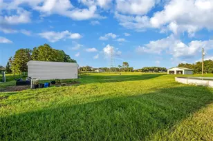 3858 E Knights Griffin Rd, Plant City, FL 33565 - Photo 43