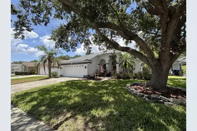 348 Fountainview Circle, Oldsmar, FL 34677 - Photo 3