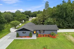 17933 Eagle Ln, Lutz, FL 33558 - Photo 1