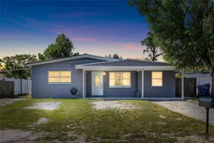2313 E 111th Ave, Tampa, FL 33612 - Photo 1