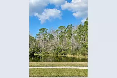 13261 Royal George Avenue, Odessa, FL 33556 - Photo 23