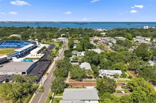 502 Beltrees St, Dunedin, FL 34698 - Photo 55