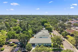 502 Beltrees St, Dunedin, FL 34698 - Photo 47