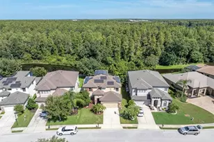 1307 Ketzal Dr, Trinity, FL 34655 - Photo 3
