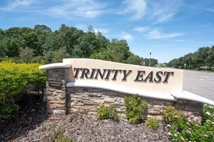 1307 Ketzal Dr, Trinity, FL 34655 - Photo 3