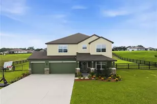 10007 Dolphin Gull Cir, Thonotosassa, FL 33592 - Photo 33