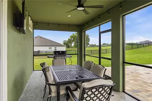 10007 Dolphin Gull Cir, Thonotosassa, FL 33592 - Photo 27