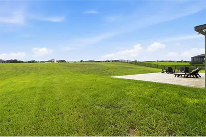 10007 Dolphin Gull Circle, Thonotosassa, FL 33592 - Photo 33