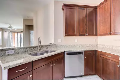 5673 Sunset Falls Drive, Apollo Beach, FL 33572 - Photo 9