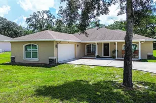 11472 Pine Warbler Ave, Brooksville, FL 34614 - Photo 3