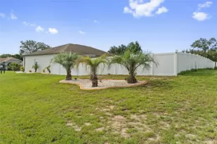 3059 Hoban Ave, Spring Hill, FL 34609 - Photo 7