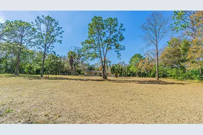 3902 Autumn Palm Drive, Zephyrhills, FL 33541 - Photo 7