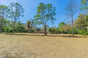 3902 Autumn Palm Dr, Zephyrhills, FL 33541 - Photo 7