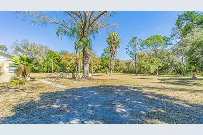 3902 Autumn Palm Drive, Zephyrhills, FL 33541 - Photo 3