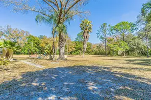 3902 Autumn Palm Dr, Zephyrhills, FL 33541 - Photo 3