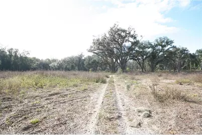 Us Hwy 301-6 Acres, Citra, FL 32113 - Photo 5