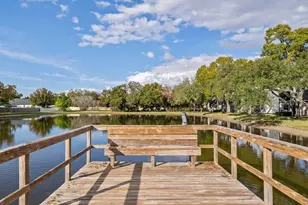 3810 Oak Dr, Tampa, FL 33611 - Photo 49