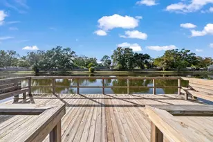 3810 Oak Dr, Tampa, FL 33611 - Photo 47