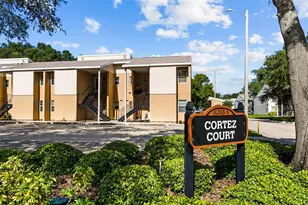3810 Oak Dr, Tampa, FL 33611 - Photo 3