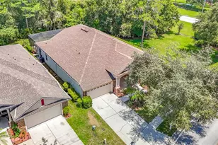 7220 Night Heron Dr, Land O Lakes, FL 34637 - Photo 5
