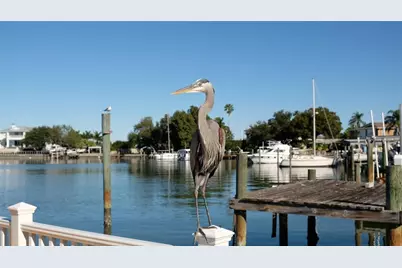 1466 Laura Street, Clearwater, FL 33755 - Photo 39