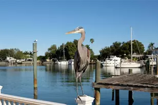 1466 Laura St, Clearwater, FL 33755 - Photo 39