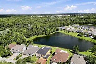 29719 Cedar Waxwing Dr, Wesley Chapel, FL 33545 - Photo 43