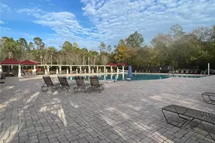 1754 Fircrest Ct, Wesley Chapel, FL 33543 - Photo 49
