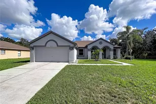 4209 Amber Ridge Ln, Valrico, FL 33594 - Photo 29