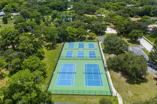 940 Rolling Hills Dr, Palm Harbor, FL 34683 - Photo 53