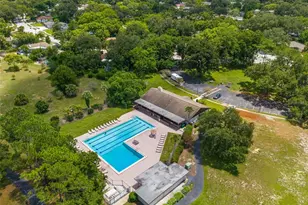 940 Rolling Hills Dr, Palm Harbor, FL 34683 - Photo 51