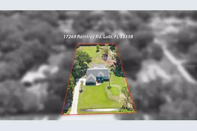 17269 Raintree Road, Lutz, FL 33558 - Photo 45