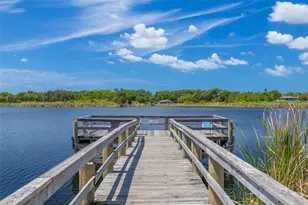 2455 Finlandia Ln, Clearwater, FL 33763 - Photo 19
