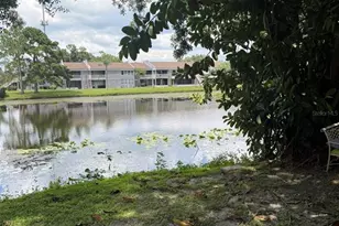 4009 Muriel Pl, Tampa, FL 33614 - Photo 13
