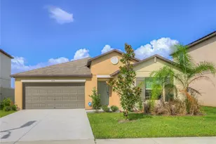 8694 Parsons Hill Blvd, Wesley Chapel, FL 33545 - Photo 1