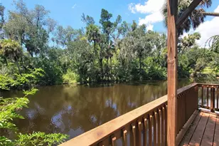 4647 John Moore Rd, Brandon, FL 33511 - Photo 21
