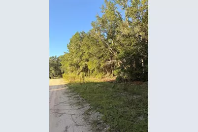 115 Orange Tree Court, Melrose, FL 32666 - Photo 3