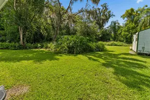 909 Tomlinson Dr, Lutz, FL 33549 - Photo 59
