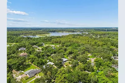 909 Tomlinson Drive, Lutz, FL 33549 - Photo 69