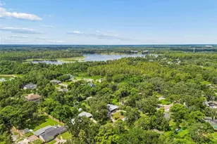 909 Tomlinson Dr, Lutz, FL 33549 - Photo 69