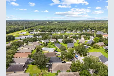 16309 Bridgeglade Lane, Lithia, FL 33547 - Photo 37