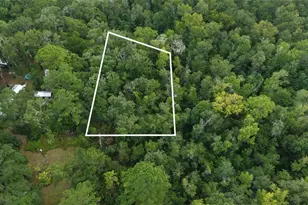 14186 Rosy Gull Ave, Weeki Wachee, FL 34614 - Photo 1